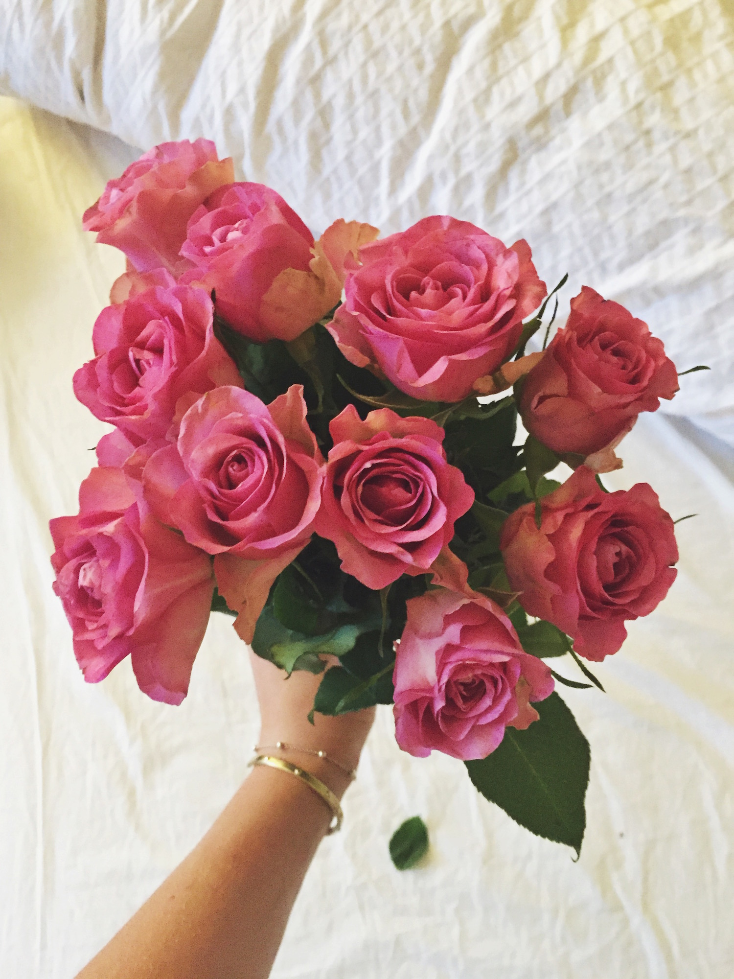 beautiful-roses