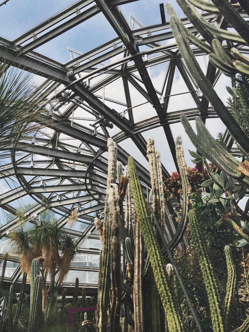 Why you should visit the Botanical Garden in Berlin
